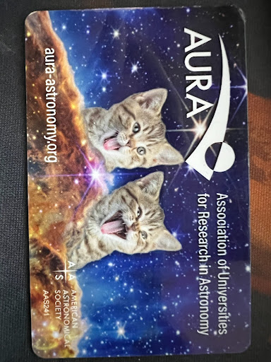 Cool Key Card With cat